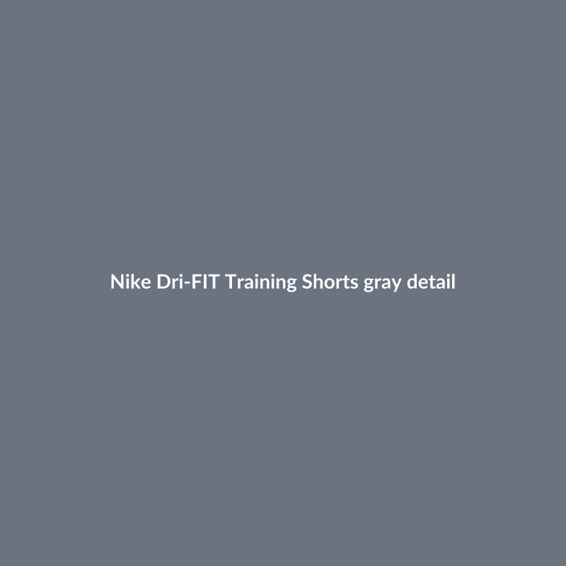 Dri-FIT Training Shorts Gray M