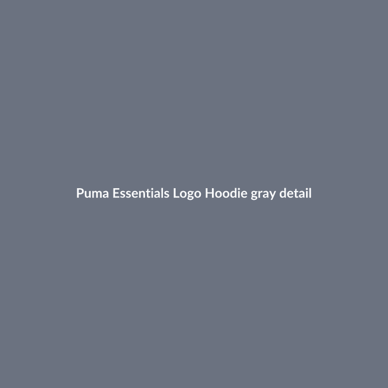 Essentials Logo Hoodie Gray S